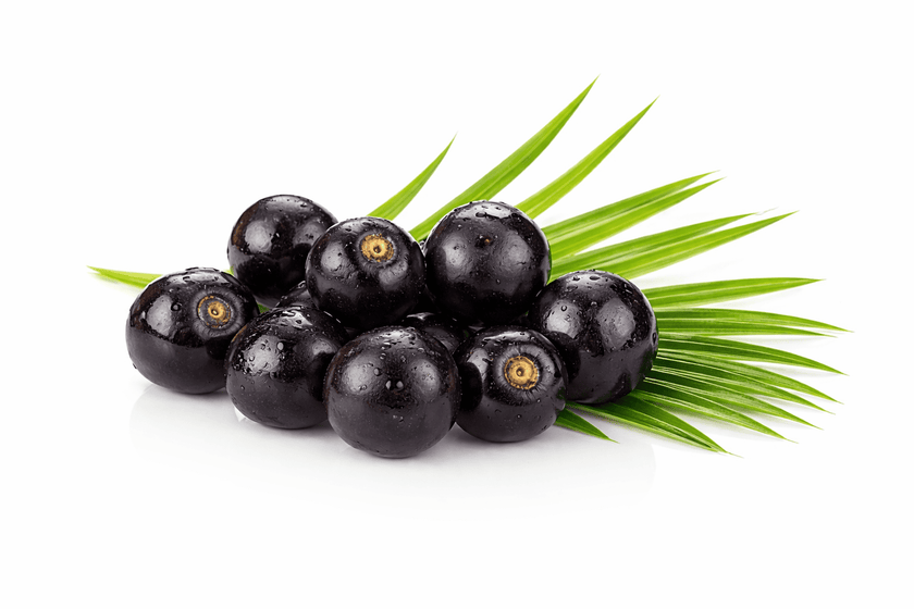 Saw palmetto berry