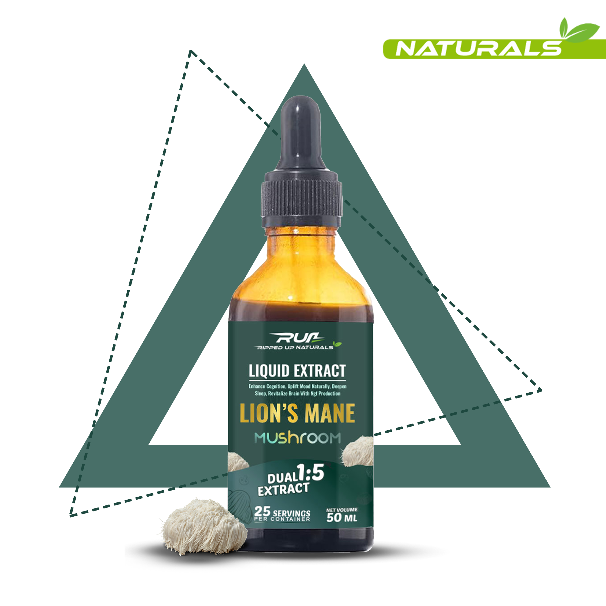 Lion's Mane Mushroom Liquid Extract
