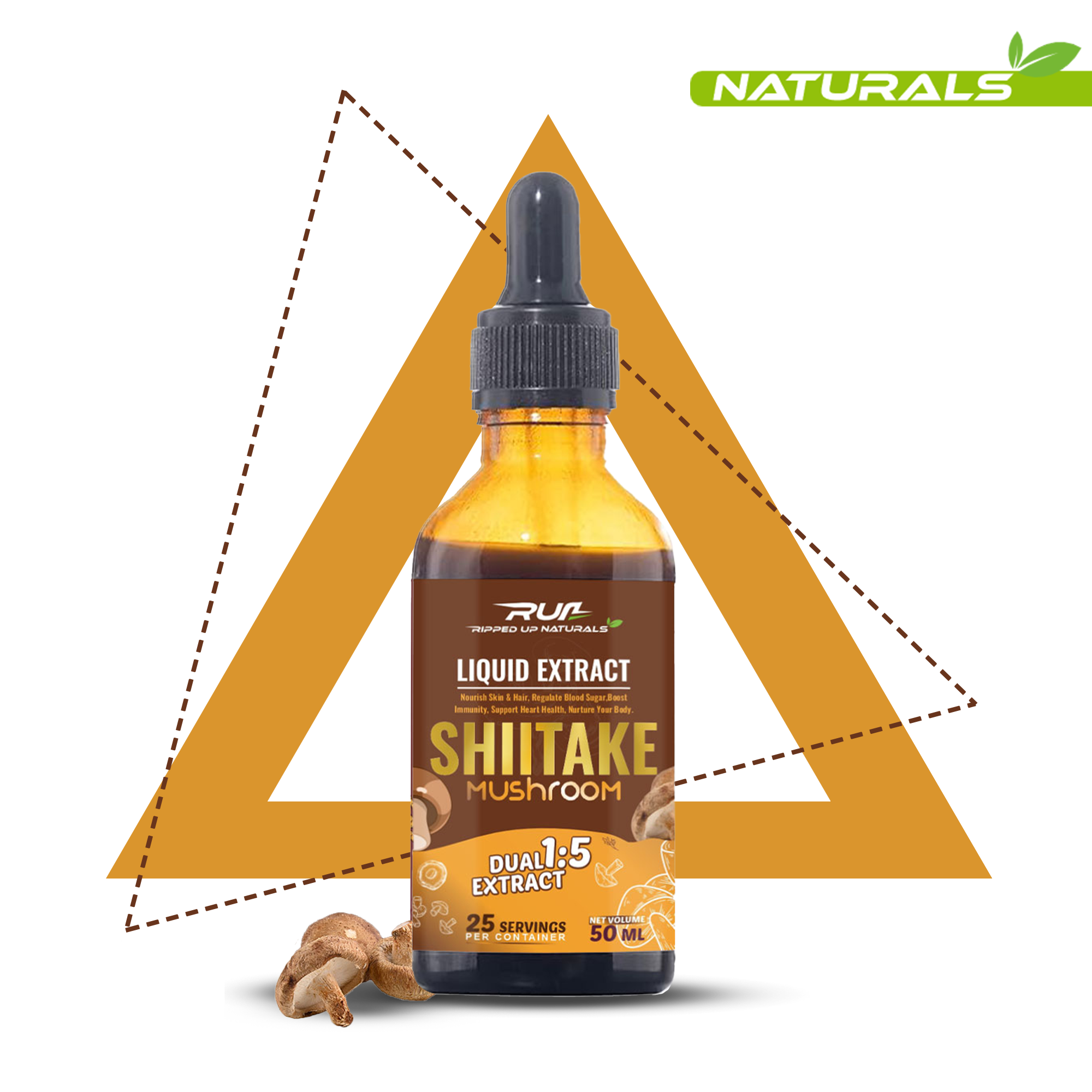 Shitake Mushroom Liquid Extract