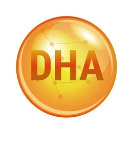 Docosahexaenoic Acid (DHA)