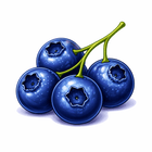 Blueberry Boost