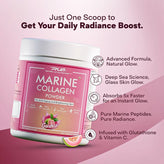 Collagen- (Marine & Veg)