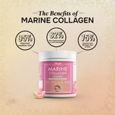 Collagen- (Marine & Veg)