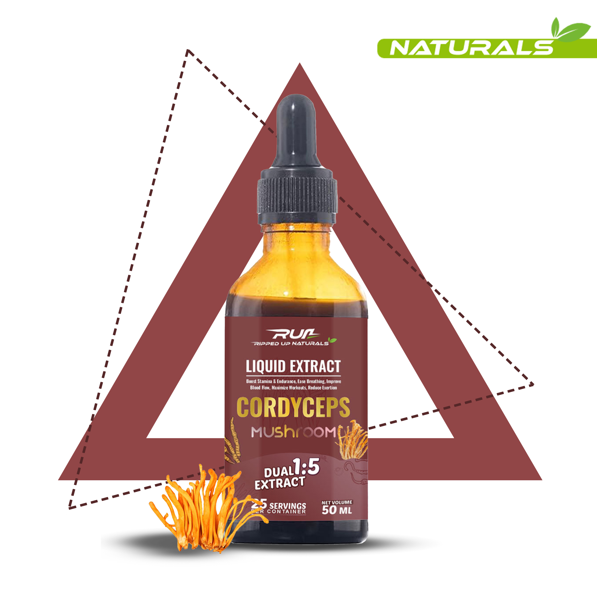 Cordyceps Mushroom Liquid Extract