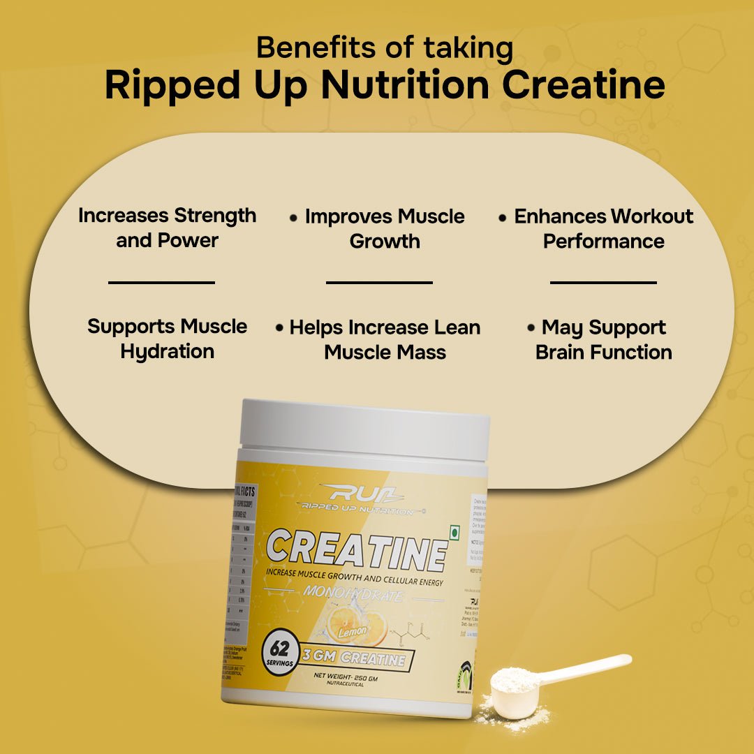 Creatine Monohydrate - Micronized - Ripped Up Nutrition