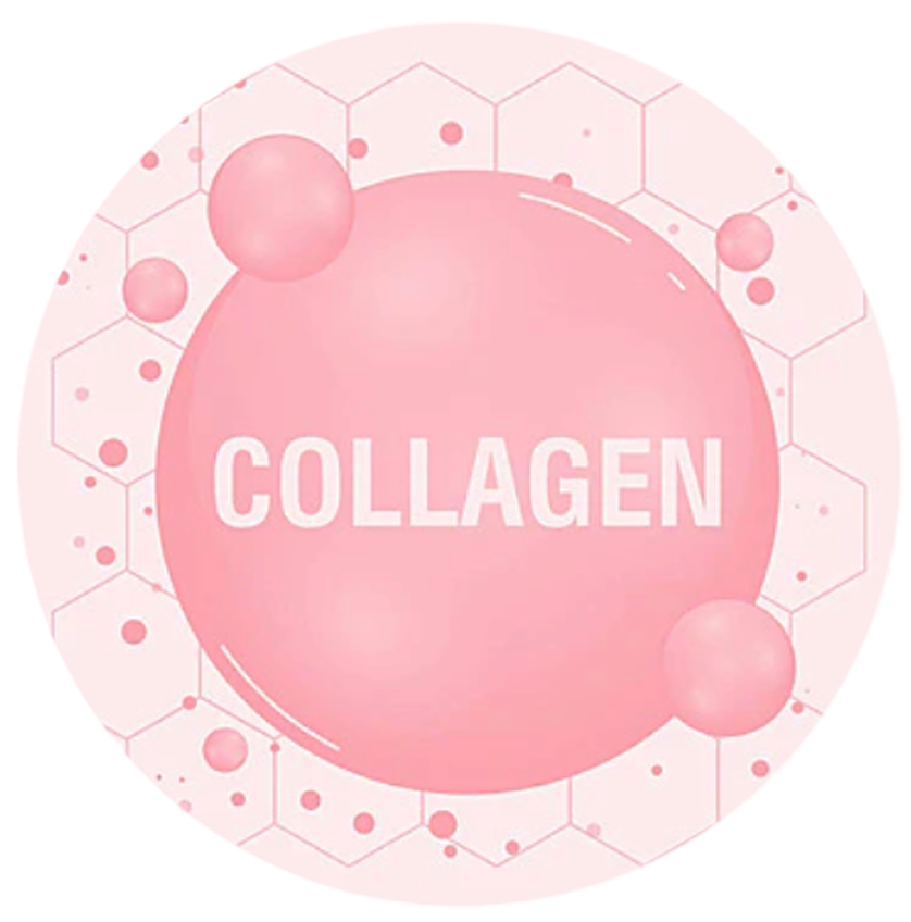 Marine Collagen