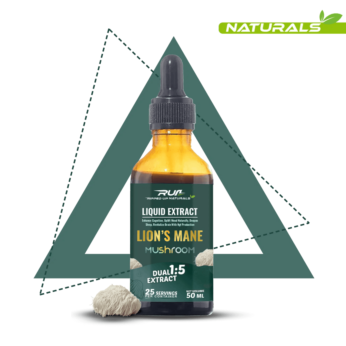 Lion's Mane Mushroom Liquid Extract - Ripped Up Nutrition