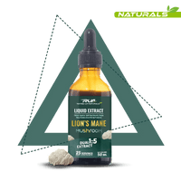 Lion's Mane Mushroom Liquid Extract - Ripped Up Nutrition