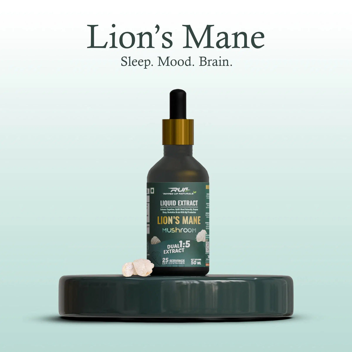 Lion's Mane Mushroom Liquid Extract - Ripped Up Nutrition