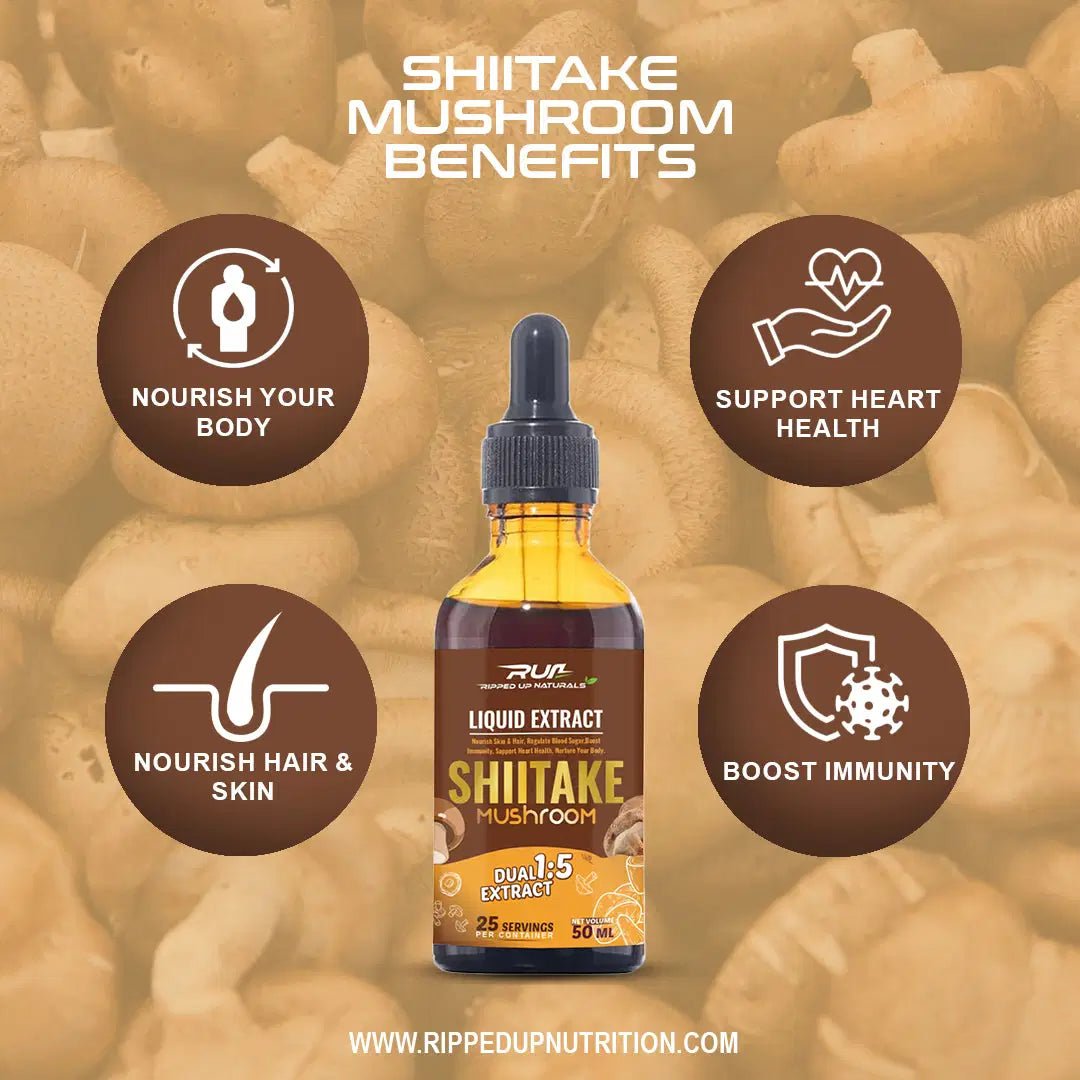 Shitake Mushroom Liquid Extract - Ripped Up Nutrition