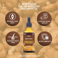 Shitake Mushroom Liquid Extract - Ripped Up Nutrition