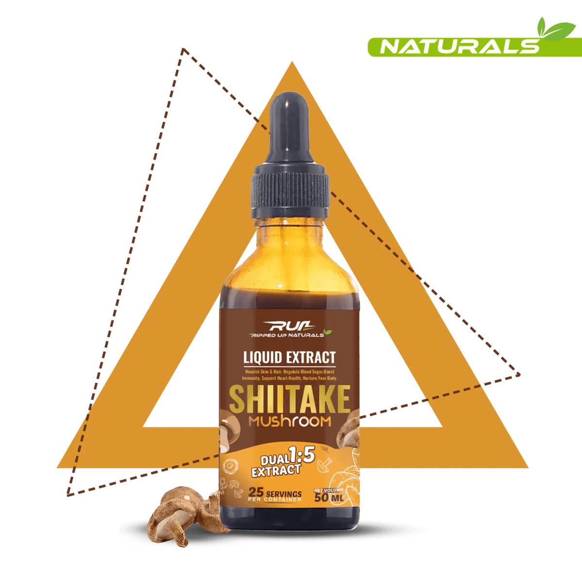 Shitake Mushroom Liquid Extract - Ripped Up Nutrition