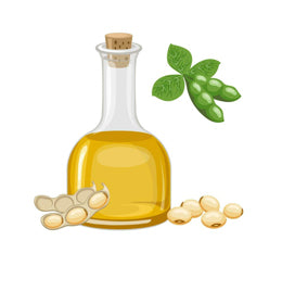 Refined Soy Oil